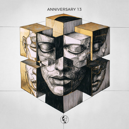 Artwork for Steyoyoke Anniversary, Vol. 13 by Various Artists