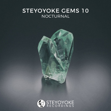Artwork for Steyoyoke Gems Nocturnal 10 by Various Artists