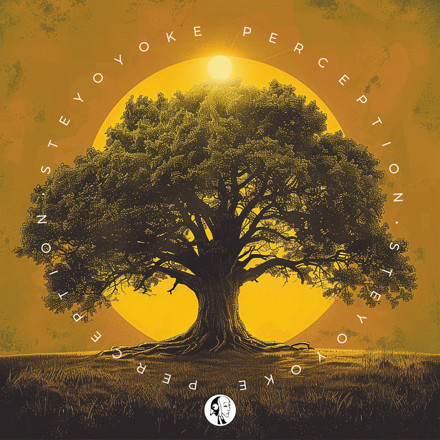 Artwork for Steyoyoke Perception, Vol. 11 by Various Artists